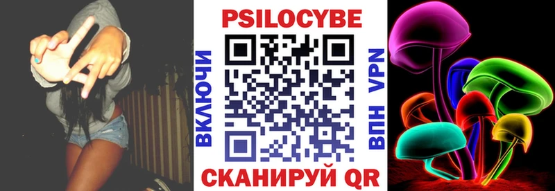 shop формула  Камешково  Галлюциногенные грибы Cubensis 