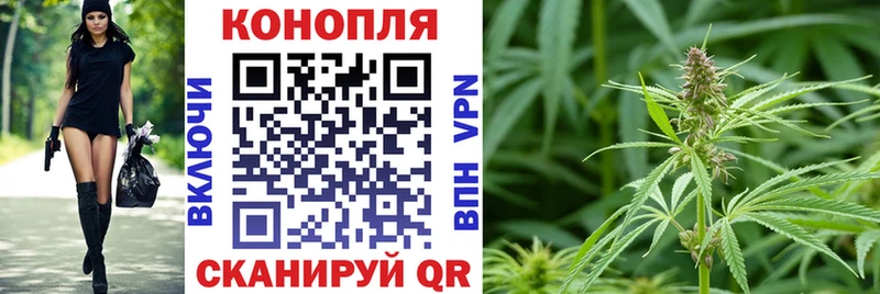 Конопля планчик Камешково