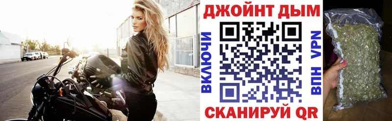 omg tor  купить наркотики сайты  Камешково  Марихуана сатива 